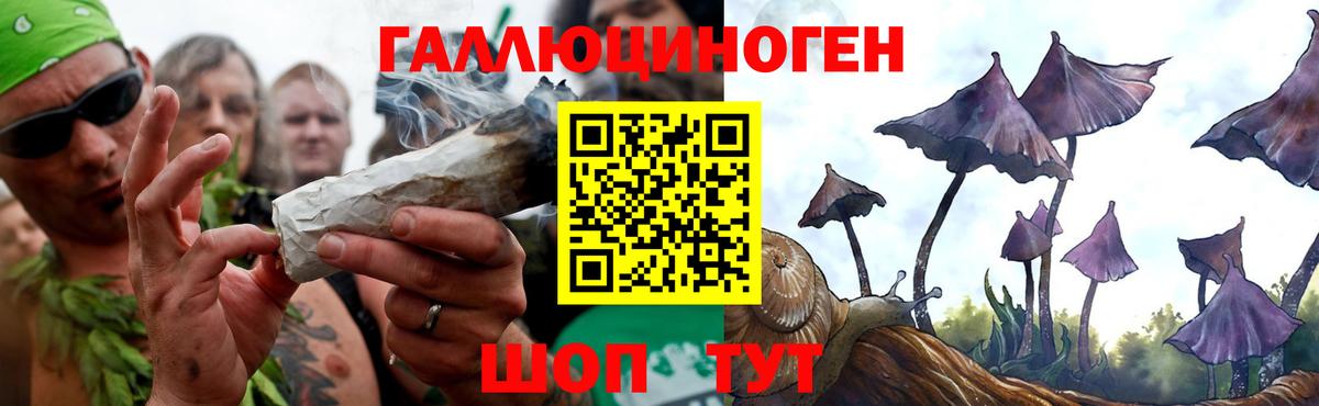 Псилоцибиновые грибы Cubensis Дубна